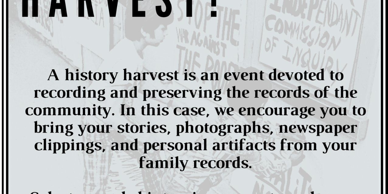 Screen Shot 2024-04-29 at 12.03.50 PM